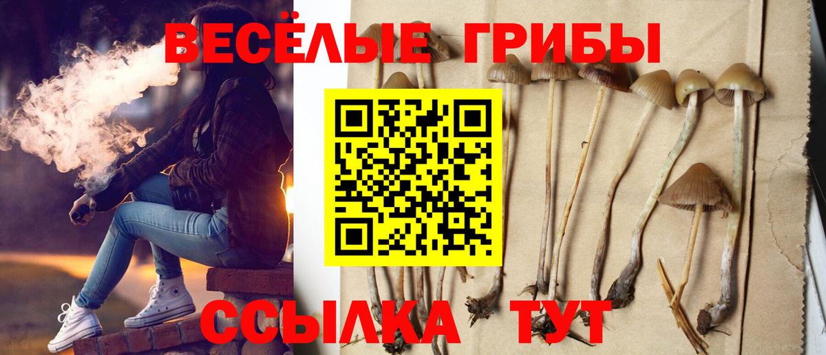 Галлюциногенные грибы мицелий  Вход с VPN  Дедовск 