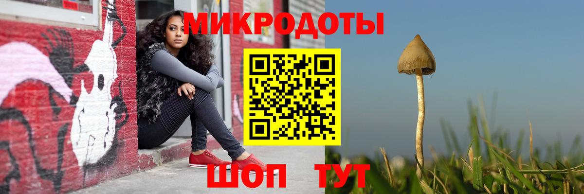Псилоцибиновые грибы мицелий Дедовск